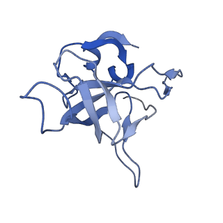 35637_8ipa_GA_v1-0
Wheat 80S ribosome stalled on AUG-Stop boron dependently with cycloheximide