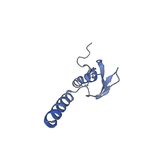 35637_8ipa_GB_v1-0
Wheat 80S ribosome stalled on AUG-Stop boron dependently with cycloheximide