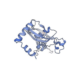 35637_8ipa_HA_v1-0
Wheat 80S ribosome stalled on AUG-Stop boron dependently with cycloheximide