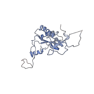 35637_8ipa_HB_v1-0
Wheat 80S ribosome stalled on AUG-Stop boron dependently with cycloheximide