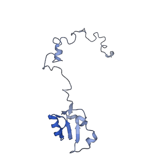 35637_8ipa_IA_v1-0
Wheat 80S ribosome stalled on AUG-Stop boron dependently with cycloheximide