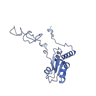 35637_8ipa_JA_v1-0
Wheat 80S ribosome stalled on AUG-Stop boron dependently with cycloheximide