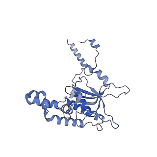 35637_8ipa_KA_v1-0
Wheat 80S ribosome stalled on AUG-Stop boron dependently with cycloheximide