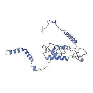 35637_8ipa_KB_v1-0
Wheat 80S ribosome stalled on AUG-Stop boron dependently with cycloheximide