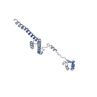 35637_8ipa_LA_v1-0
Wheat 80S ribosome stalled on AUG-Stop boron dependently with cycloheximide