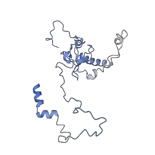 35637_8ipa_LB_v1-0
Wheat 80S ribosome stalled on AUG-Stop boron dependently with cycloheximide