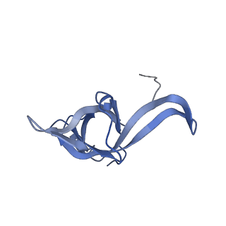 35637_8ipa_MB_v1-0
Wheat 80S ribosome stalled on AUG-Stop boron dependently with cycloheximide