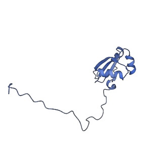 35637_8ipa_NA_v1-0
Wheat 80S ribosome stalled on AUG-Stop boron dependently with cycloheximide