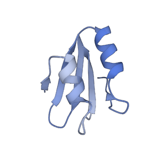 35637_8ipa_NB_v1-0
Wheat 80S ribosome stalled on AUG-Stop boron dependently with cycloheximide