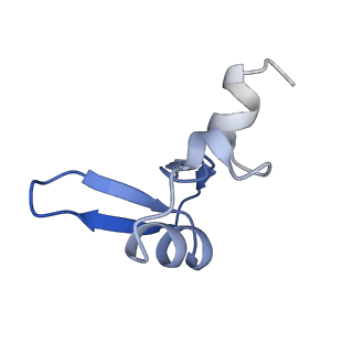 35637_8ipa_OA_v1-0
Wheat 80S ribosome stalled on AUG-Stop boron dependently with cycloheximide