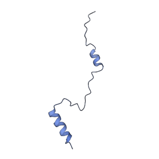 35637_8ipa_OB_v1-0
Wheat 80S ribosome stalled on AUG-Stop boron dependently with cycloheximide