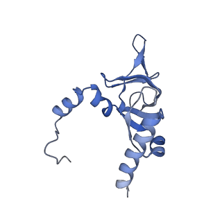 35637_8ipa_PA_v1-0
Wheat 80S ribosome stalled on AUG-Stop boron dependently with cycloheximide