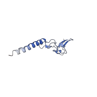 35637_8ipa_PB_v1-0
Wheat 80S ribosome stalled on AUG-Stop boron dependently with cycloheximide