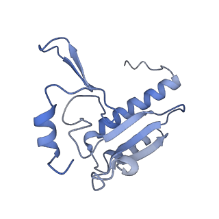 35637_8ipa_QA_v1-0
Wheat 80S ribosome stalled on AUG-Stop boron dependently with cycloheximide