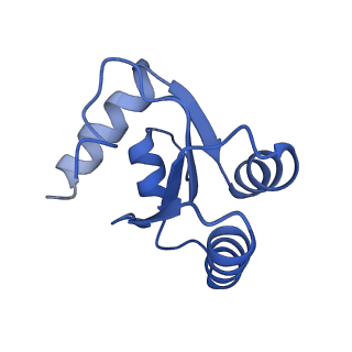 35637_8ipa_RA_v1-0
Wheat 80S ribosome stalled on AUG-Stop boron dependently with cycloheximide