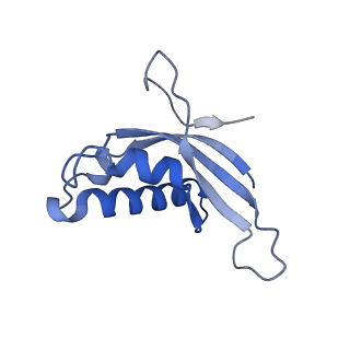 35637_8ipa_SA_v1-0
Wheat 80S ribosome stalled on AUG-Stop boron dependently with cycloheximide