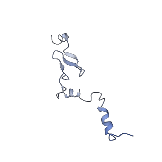 35637_8ipa_UA_v1-0
Wheat 80S ribosome stalled on AUG-Stop boron dependently with cycloheximide