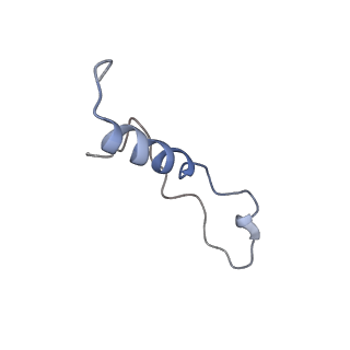 35637_8ipa_VA_v1-0
Wheat 80S ribosome stalled on AUG-Stop boron dependently with cycloheximide