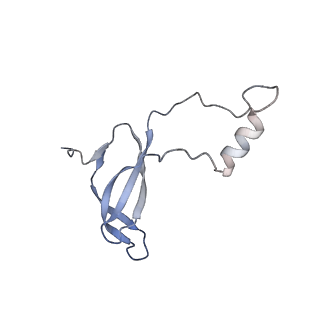 35637_8ipa_WA_v1-0
Wheat 80S ribosome stalled on AUG-Stop boron dependently with cycloheximide