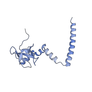 35637_8ipa_XA_v1-0
Wheat 80S ribosome stalled on AUG-Stop boron dependently with cycloheximide