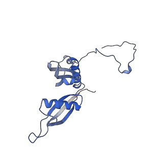 35637_8ipa_YA_v1-0
Wheat 80S ribosome stalled on AUG-Stop boron dependently with cycloheximide