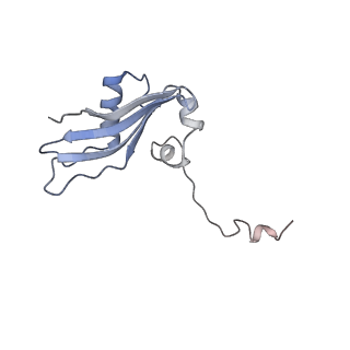 35637_8ipa_ba_v1-0
Wheat 80S ribosome stalled on AUG-Stop boron dependently with cycloheximide