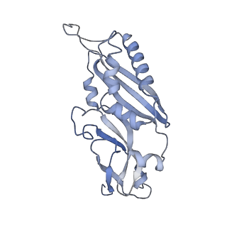 35637_8ipa_bb_v1-0
Wheat 80S ribosome stalled on AUG-Stop boron dependently with cycloheximide