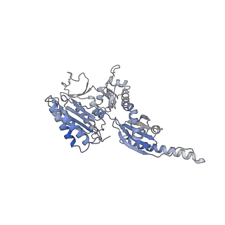 35637_8ipa_bl_v1-0
Wheat 80S ribosome stalled on AUG-Stop boron dependently with cycloheximide