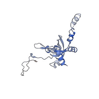 35637_8ipa_ca_v1-0
Wheat 80S ribosome stalled on AUG-Stop boron dependently with cycloheximide