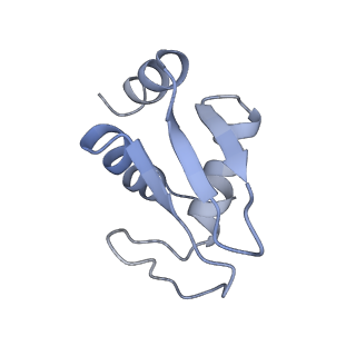 35637_8ipa_da_v1-0
Wheat 80S ribosome stalled on AUG-Stop boron dependently with cycloheximide