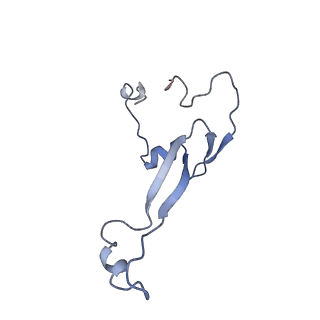 35637_8ipa_db_v1-0
Wheat 80S ribosome stalled on AUG-Stop boron dependently with cycloheximide