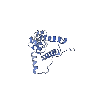 35637_8ipa_eb_v1-0
Wheat 80S ribosome stalled on AUG-Stop boron dependently with cycloheximide