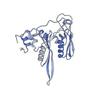 35637_8ipa_fb_v1-0
Wheat 80S ribosome stalled on AUG-Stop boron dependently with cycloheximide