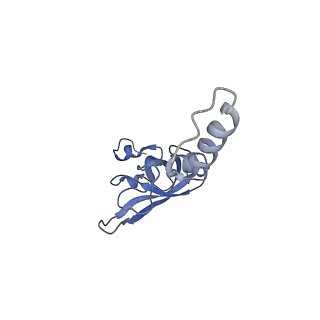 35637_8ipa_ga_v1-0
Wheat 80S ribosome stalled on AUG-Stop boron dependently with cycloheximide