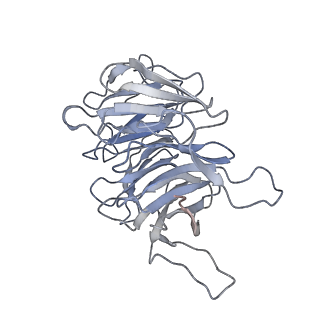 35637_8ipa_ha_v1-0
Wheat 80S ribosome stalled on AUG-Stop boron dependently with cycloheximide