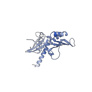 35637_8ipa_ia_v1-0
Wheat 80S ribosome stalled on AUG-Stop boron dependently with cycloheximide