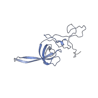 35637_8ipa_ib_v1-0
Wheat 80S ribosome stalled on AUG-Stop boron dependently with cycloheximide