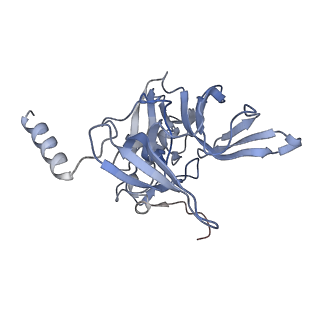 35637_8ipa_ja_v1-0
Wheat 80S ribosome stalled on AUG-Stop boron dependently with cycloheximide