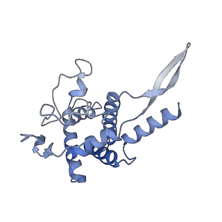 35637_8ipa_ka_v1-0
Wheat 80S ribosome stalled on AUG-Stop boron dependently with cycloheximide