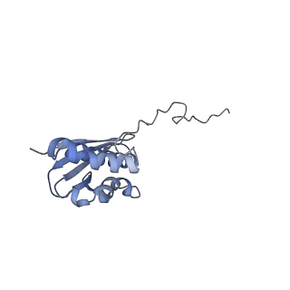 35637_8ipa_la_v1-0
Wheat 80S ribosome stalled on AUG-Stop boron dependently with cycloheximide