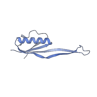 35637_8ipa_ma_v1-0
Wheat 80S ribosome stalled on AUG-Stop boron dependently with cycloheximide