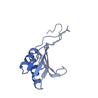 35637_8ipa_na_v1-0
Wheat 80S ribosome stalled on AUG-Stop boron dependently with cycloheximide