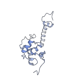 35637_8ipa_oa_v1-0
Wheat 80S ribosome stalled on AUG-Stop boron dependently with cycloheximide