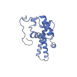 35637_8ipa_pa_v1-0
Wheat 80S ribosome stalled on AUG-Stop boron dependently with cycloheximide