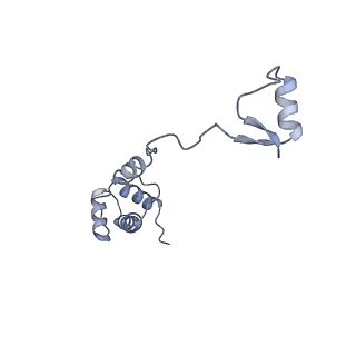 35637_8ipa_qa_v1-0
Wheat 80S ribosome stalled on AUG-Stop boron dependently with cycloheximide