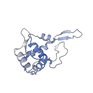 35637_8ipa_ra_v1-0
Wheat 80S ribosome stalled on AUG-Stop boron dependently with cycloheximide