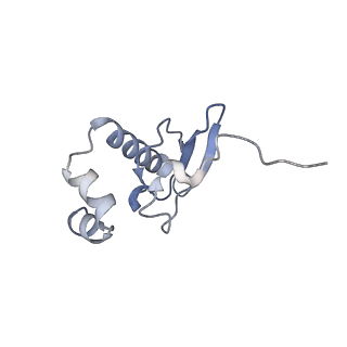 35637_8ipa_sa_v1-0
Wheat 80S ribosome stalled on AUG-Stop boron dependently with cycloheximide