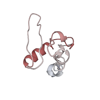 35637_8ipa_ta_v1-0
Wheat 80S ribosome stalled on AUG-Stop boron dependently with cycloheximide