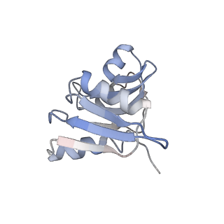 35637_8ipa_va_v1-0
Wheat 80S ribosome stalled on AUG-Stop boron dependently with cycloheximide