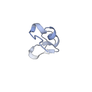 35637_8ipa_wa_v1-0
Wheat 80S ribosome stalled on AUG-Stop boron dependently with cycloheximide